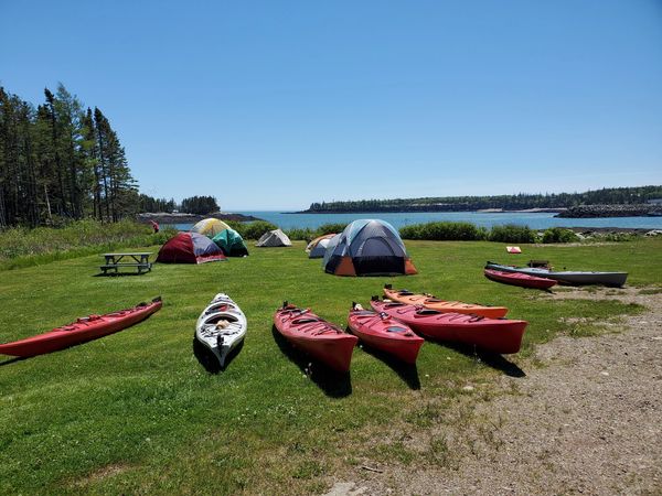 Tents for camping and double and single sea kayaks in Dipper Harbour overlooking the Bay.