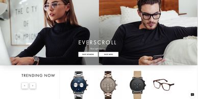 SEO, SEM and Brilliant Web Design produced by Animal Marketing