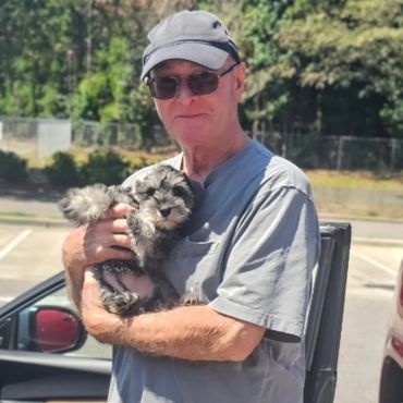 Miniature Schnauzer breeder of Canada