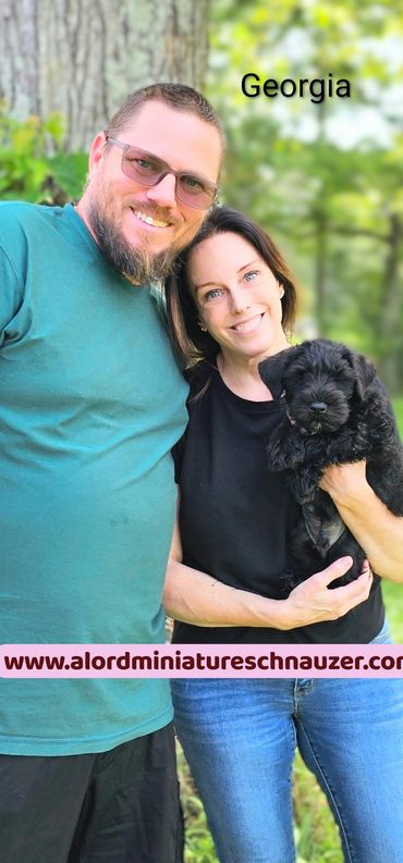 Top miniature schnauzer breeder