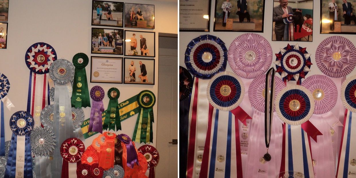 Some of Our Ribbons