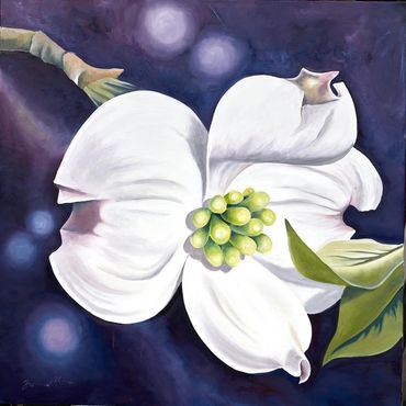SOLD but prints are available

Dogwood
Oil on Canvas
36x36”

1650