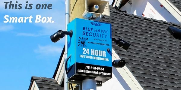 Live Video Monitoring