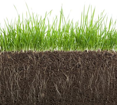 improving soil condition using humic acid