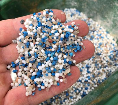 Some of our high quality nitrogen feeds.