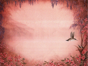 Hummingbird single name