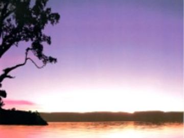 Twilight Silhouette single name