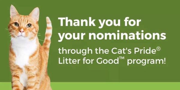 Orange and white cat with a thank you message for Cat's Pride nominations.