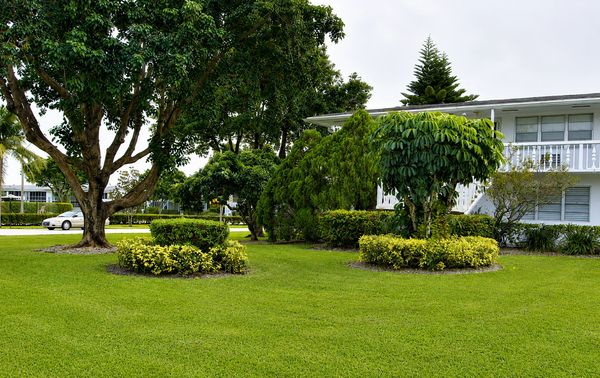 Well-maintained garden with trimmed bushes and trees in front of a white building.