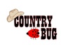 Country Bug Crafts