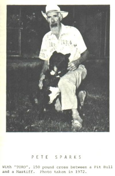 Pete Sparks with his Swinford Bandog