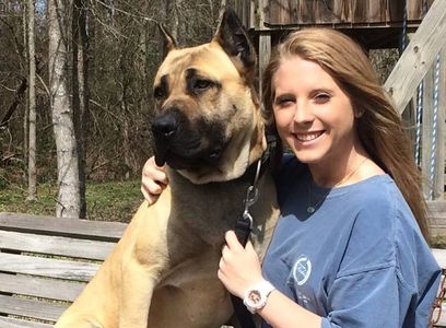 American Sentinel K9 Bandog. Pictured here is ASC's Justice with Courtney Robinson.