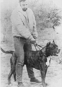 Swinford Bandog - John B. Swinford with Swinford's Bantu.