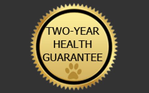 Bandog and APBT (pit bull) health guarantee