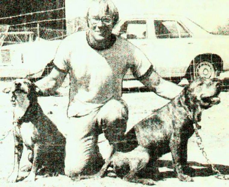 Pat Patrick APBT, American Pit Bull Terrier, pit bull, pit bull, Bolio, Tombstone