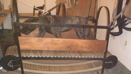 Bandog ASC's Reaper (I) working the mill.