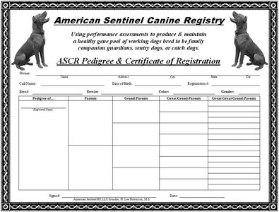 The American Sentinel K9 Registration for the American Sentinel and our lines of APBT (pit bulls).