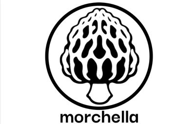 morchella logo - Chef Michael Blake pop up Saratoga Springs NY MB Culinary Concepts