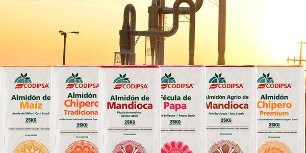 Bags of various CODIPSA starch products lined up outdoors at sunset.
