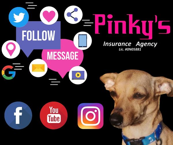 Agency Social Media