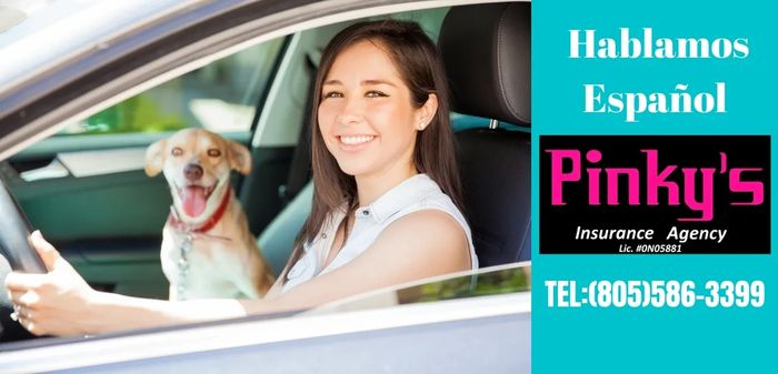Female Driver with Dog. Agency phone number.