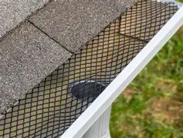 Black mesh gutter guard installed on a white rain gutter beside roof shingles.