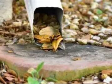 A gutter filled with dry leaves and debris near a garden path.