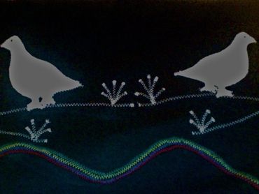 Local birds, ptarmigans are a fixture of Northern wildlife.