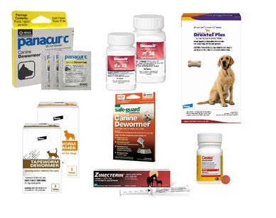 Medications used to treat intestinal worms.
Some require prescriptions from your veterinarian.