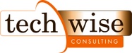 Techwise Consulting