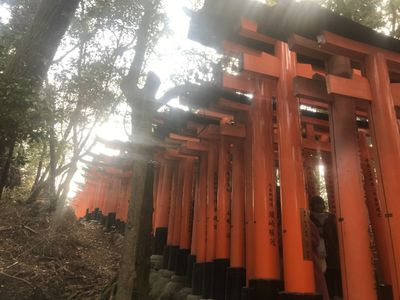 The many torii gates of Fushimi Inari Shrine in Kyoto