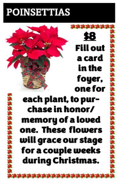 Help make our sanctuary look beautiful