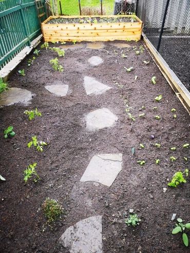 Grow Your Own Produce - The Little Garden Company