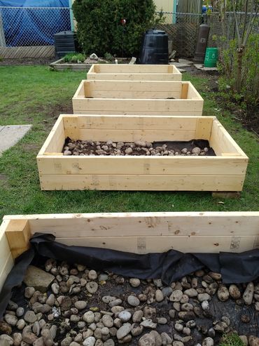 Grow Your Own Produce - The Little Garden Company