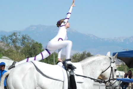 Vaulting, equestrian, physical fitness, horse, riding, Horseback, gymnastics, dance 