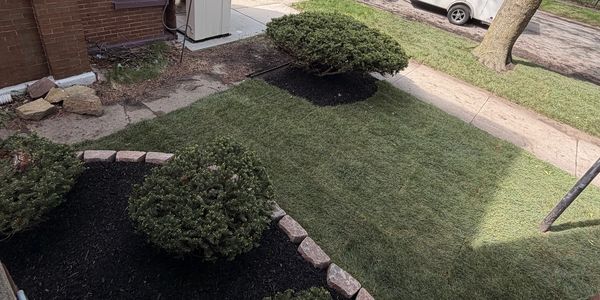 Neatly landscaped front yard with trimmed bushes and fresh mulch.