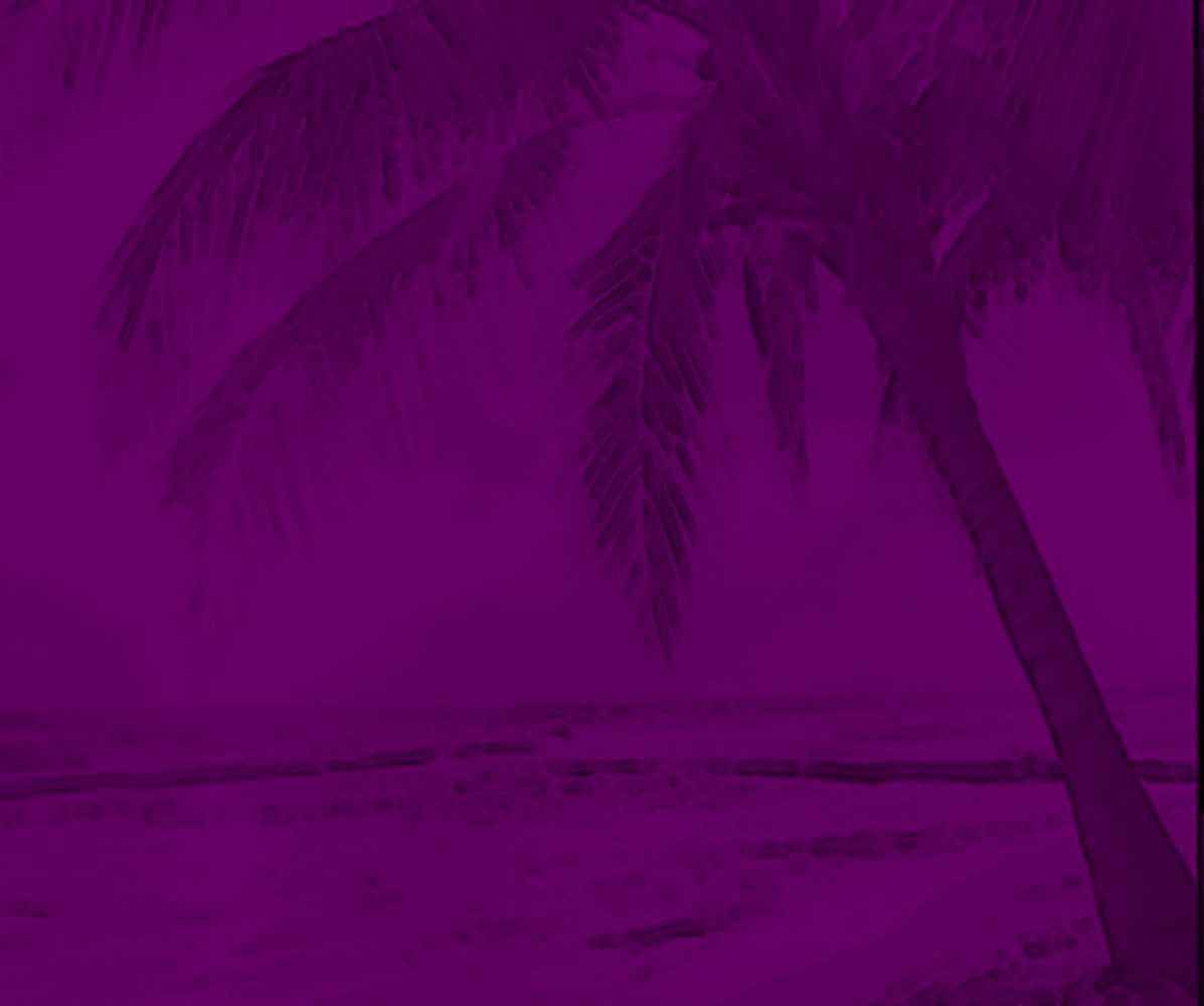 La palma dominicana by Maria Aduke Alabi. Quisqueyana Press. All right reserved.
