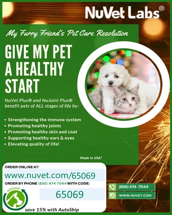 www.nuvet.com/65069
We provide a 2year health guarantee for our puppies that are maintained on Nuvet