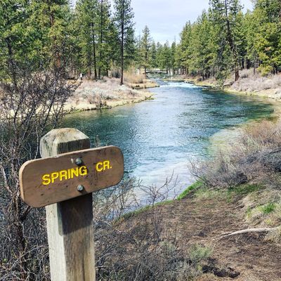 Image of the lower stretch of Spring Creek in Klamath County, Oregon