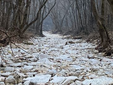 The creek