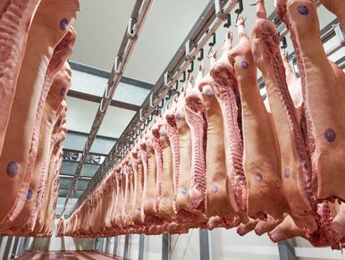 inside of an abattoir