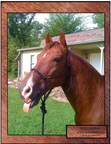 Horse sticking its tongue out in front of a house.