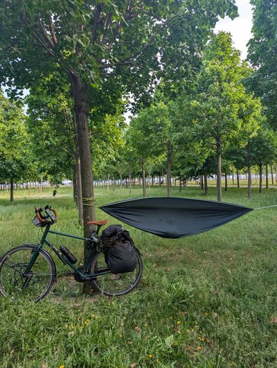 Bicycle parked near a tree with a hammock tied between trees in a green park.