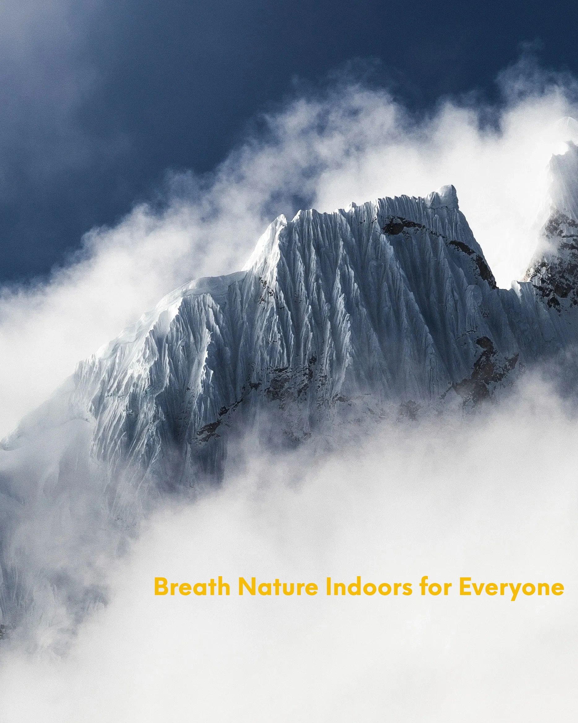 fresh air, nature, air disinfection