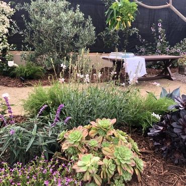 Aviara Residential Landscape Design