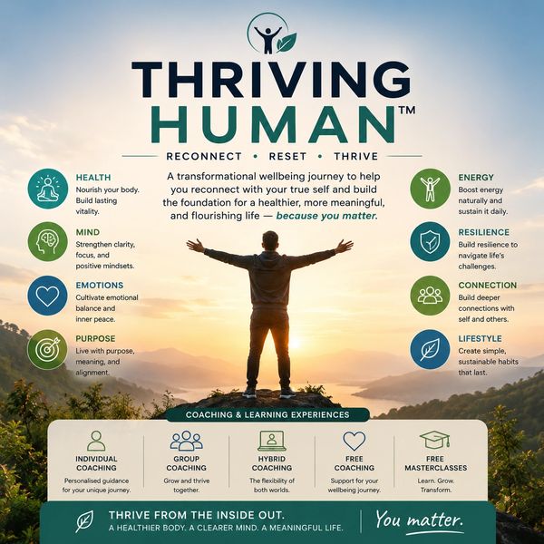 Helping individuals move beyond survival mode and build the foundations for a healthier, more meanin