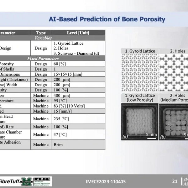 3D Printed Bone Porosity for Artificial Intelligence.
