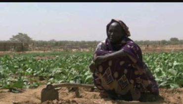 A woman in traditional clothing squats in a field with crops and a hoe.