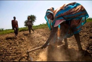 Woman farming in dry soil with two men in the background.