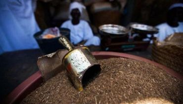 Metal scoop in a pile of dried tobacco with people in the background.